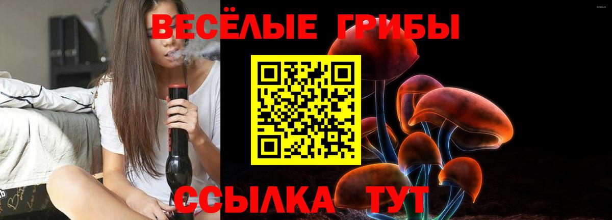Псилоцибиновые грибы Psilocybe  магазин продажи наркотиков  Каспийск  Вход с VPN 