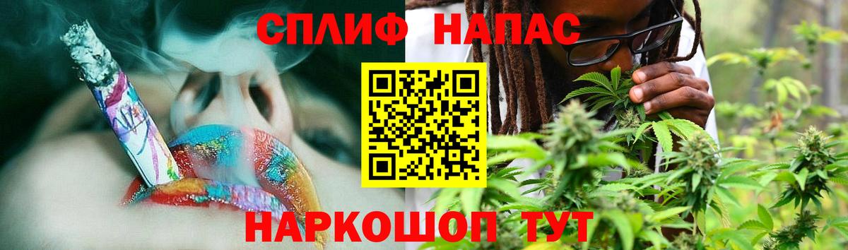 Конопля Ganja Каспийск